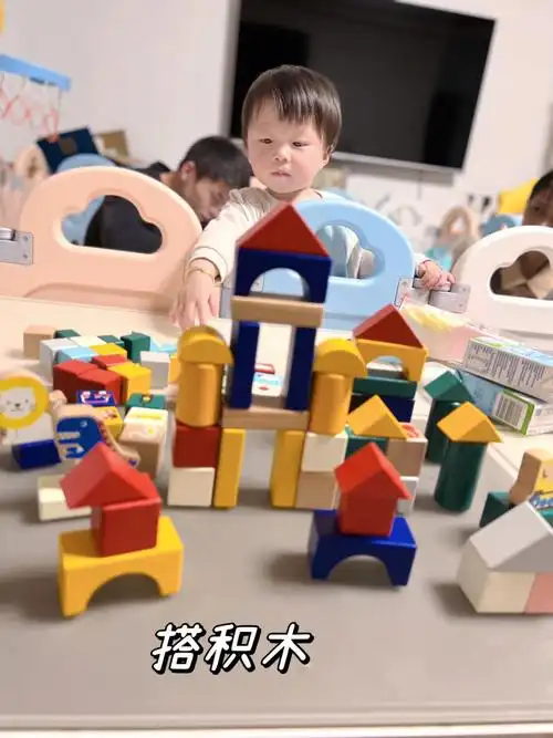 感谢崔玉涛教我宝宝积木的99种玩法